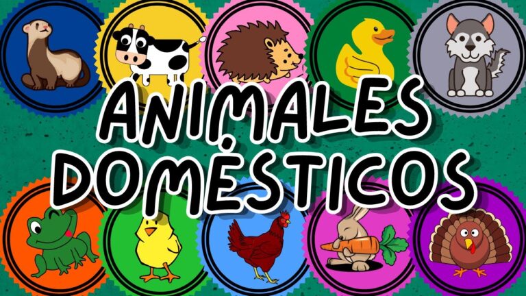animales domesticos en casa