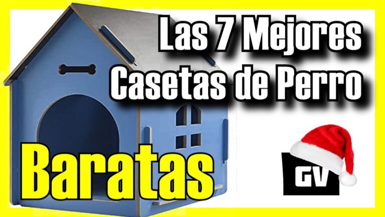 casas para perros