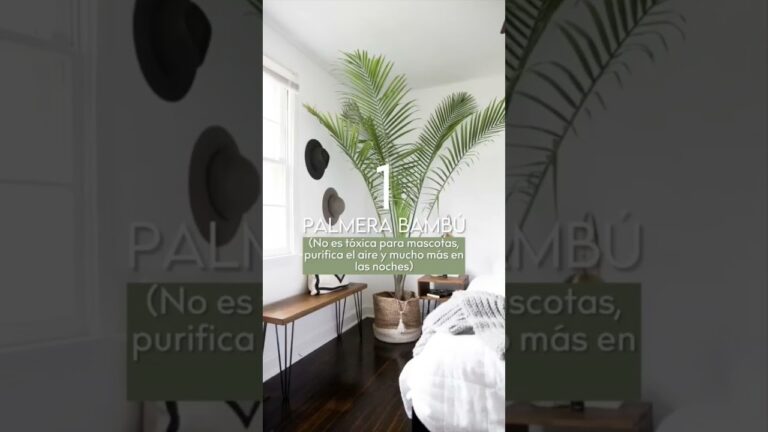 decora tu habitacion para descansar mejor