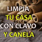 limpiar la casa de forma natural