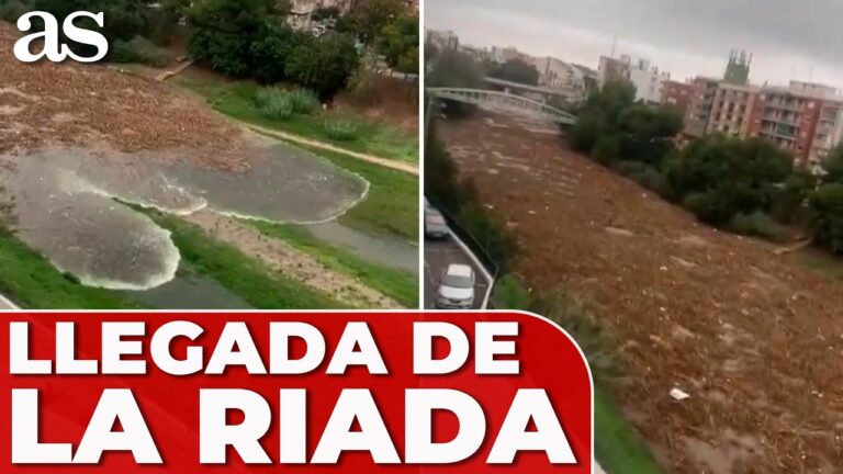llega de nuevo el mercado de reyes cabanyal 2023