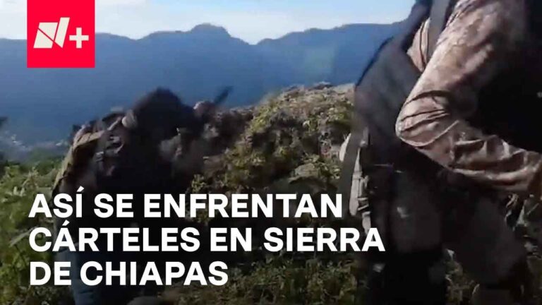 no recluta autonomos quien quiere sino quien puede