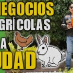 Descubre Quién Cultiva Huerto Mientras Otros Cultivan Inversores: Guía 2023 quien cultiva huerto otros cultivan inversores