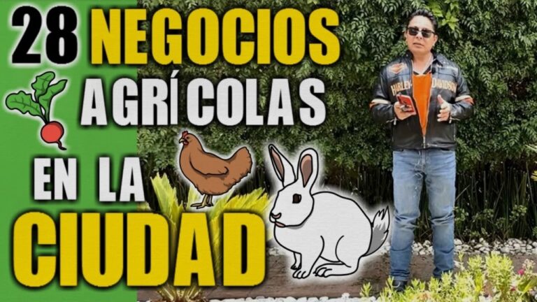 quien cultiva huerto otros cultivan inversores